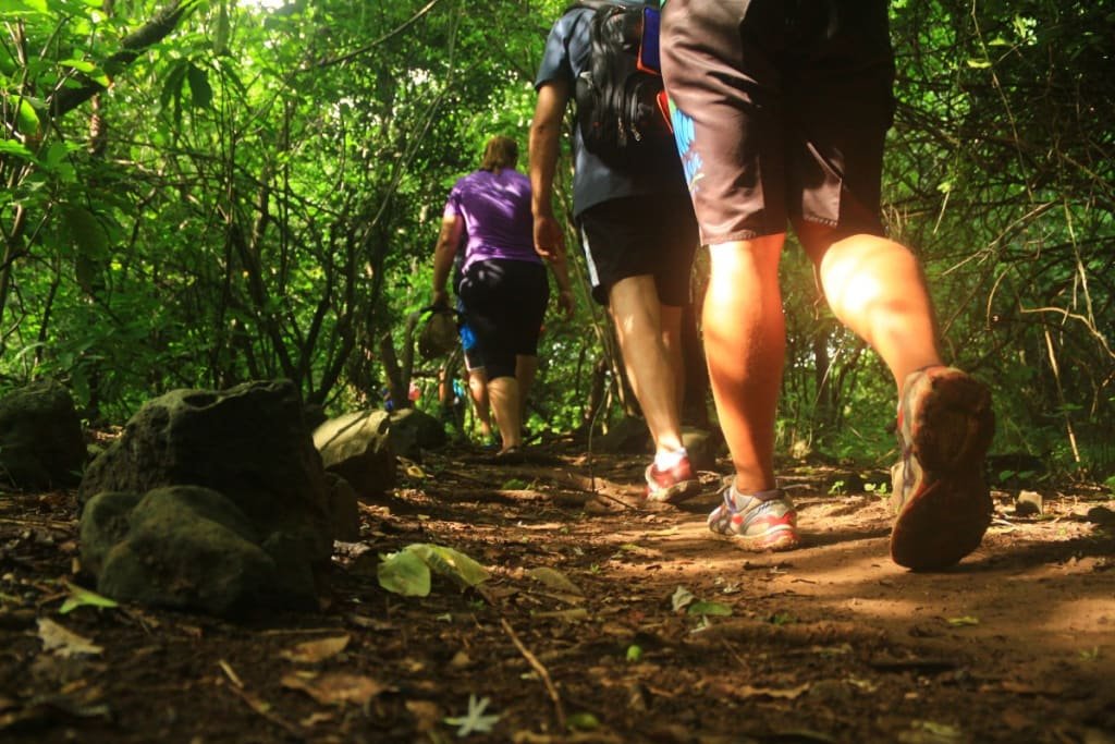 TRILHA CAPIM AÇU EM FERNANDO DE NORONHA